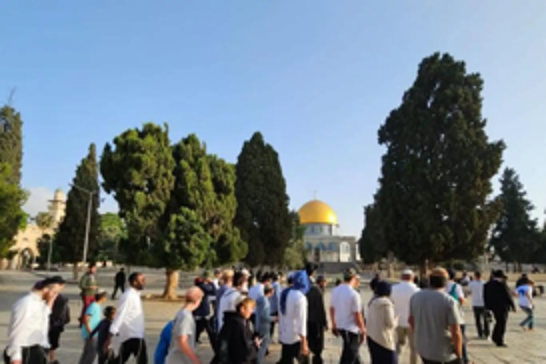 Jewish settlers storm Al-Aqsa Mosque under Israeli police protection