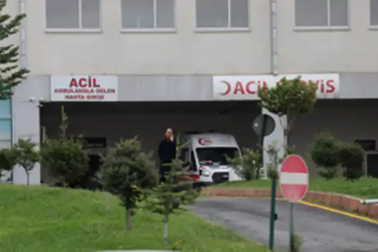 Malatya'da otomobil bahçeye yuvarlandı: 2 yaralı