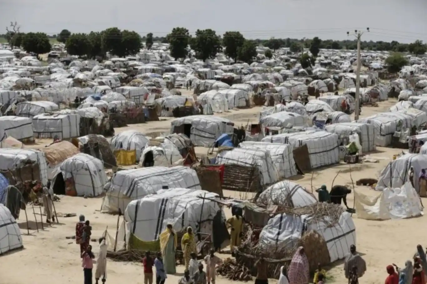 الأمم المتحدة: "خفض التمويل العالمي يزيد من مخاطر العنف والموت على اللاجئين" الأمم المتحدة: "خفض التمويل العالمي يزيد من مخاطر العنف والموت على اللاجئين"
