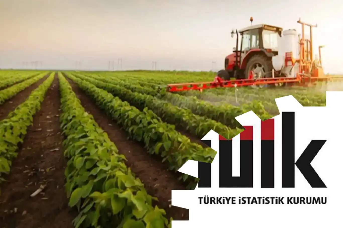 Tarımsal girdi fiyat endeksi mart ayında artış gösterdi Tarımsal girdi fiyat endeksi mart ayında artış gösterdi