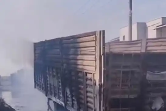 Adana'nın Ceyhan ilçesinde iki dorsede yangın çıktı