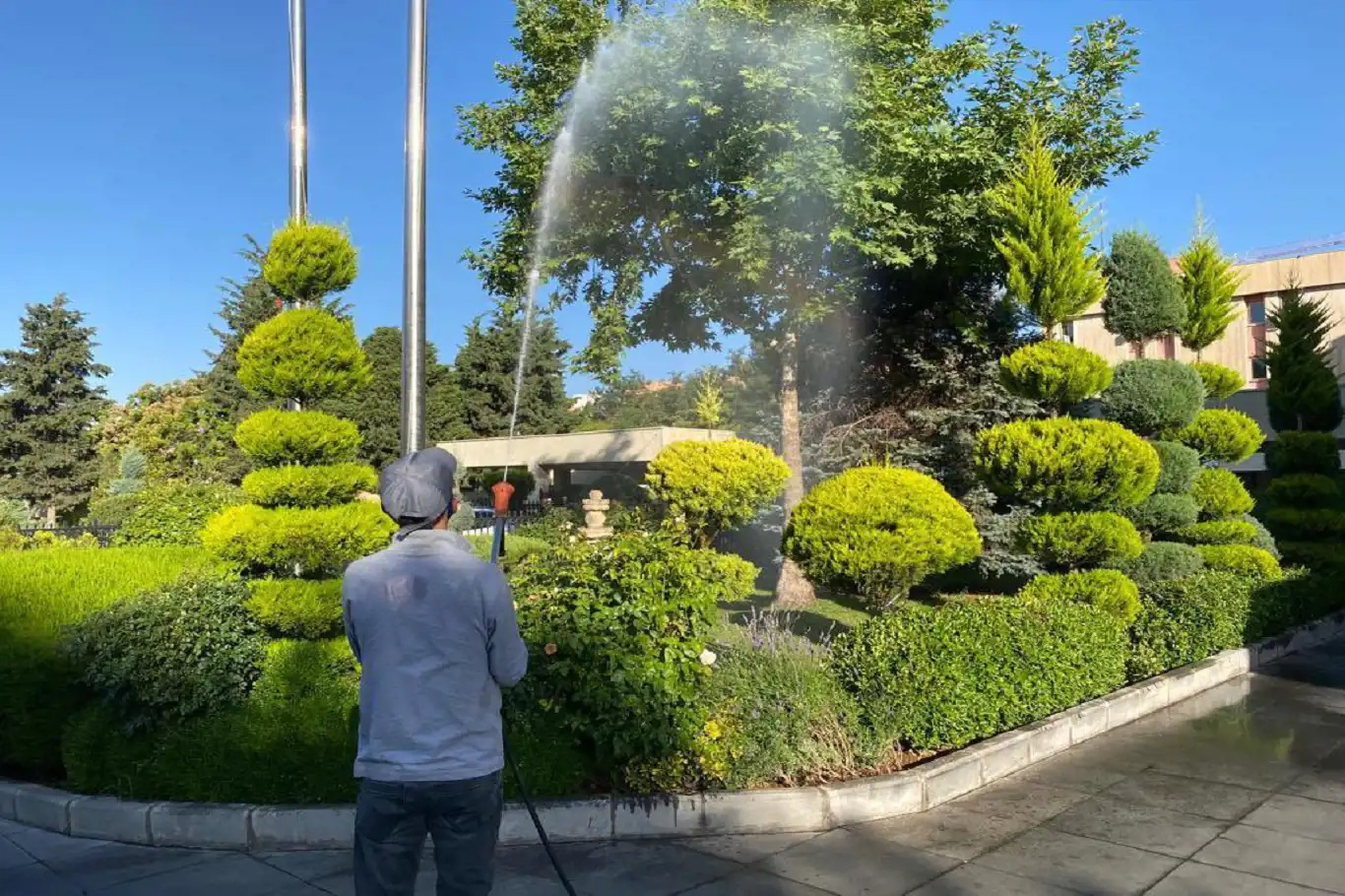 aa