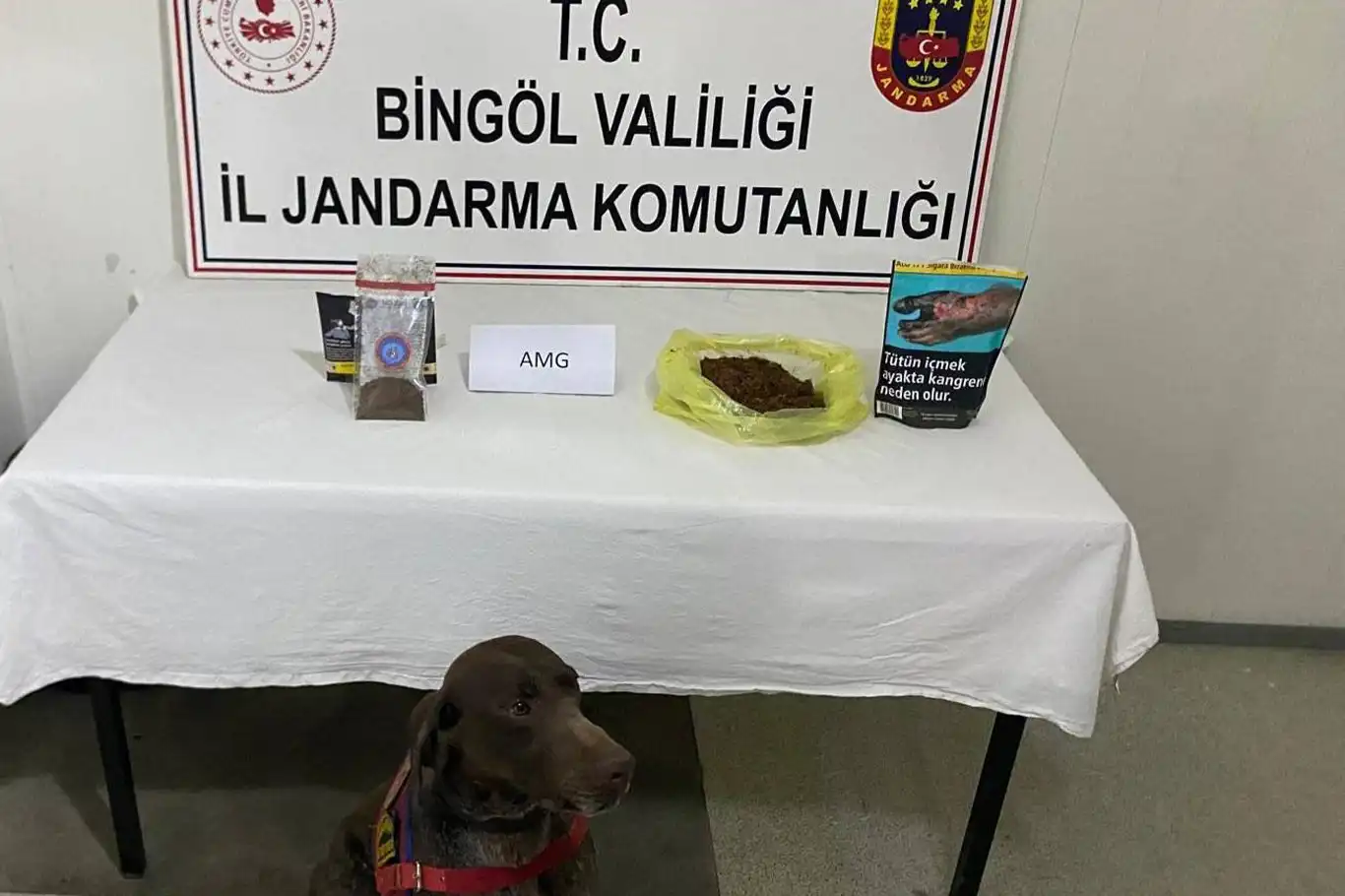 Bingöl'de yolcu otobüsünde uyuşturucu ele geçirildi Bingöl'de yolcu otobüsünde uyuşturucu ele geçirildi