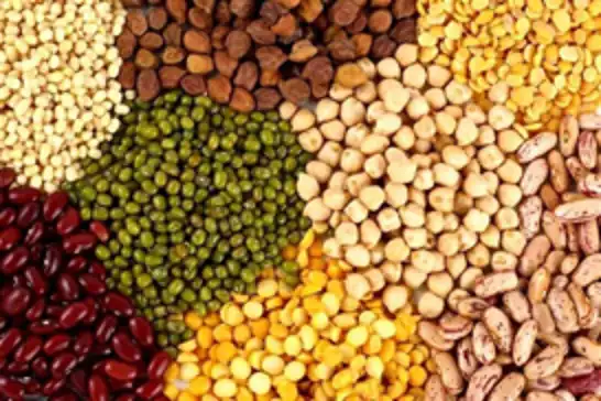 Türkiye faces significant decline in crop yields for 2025