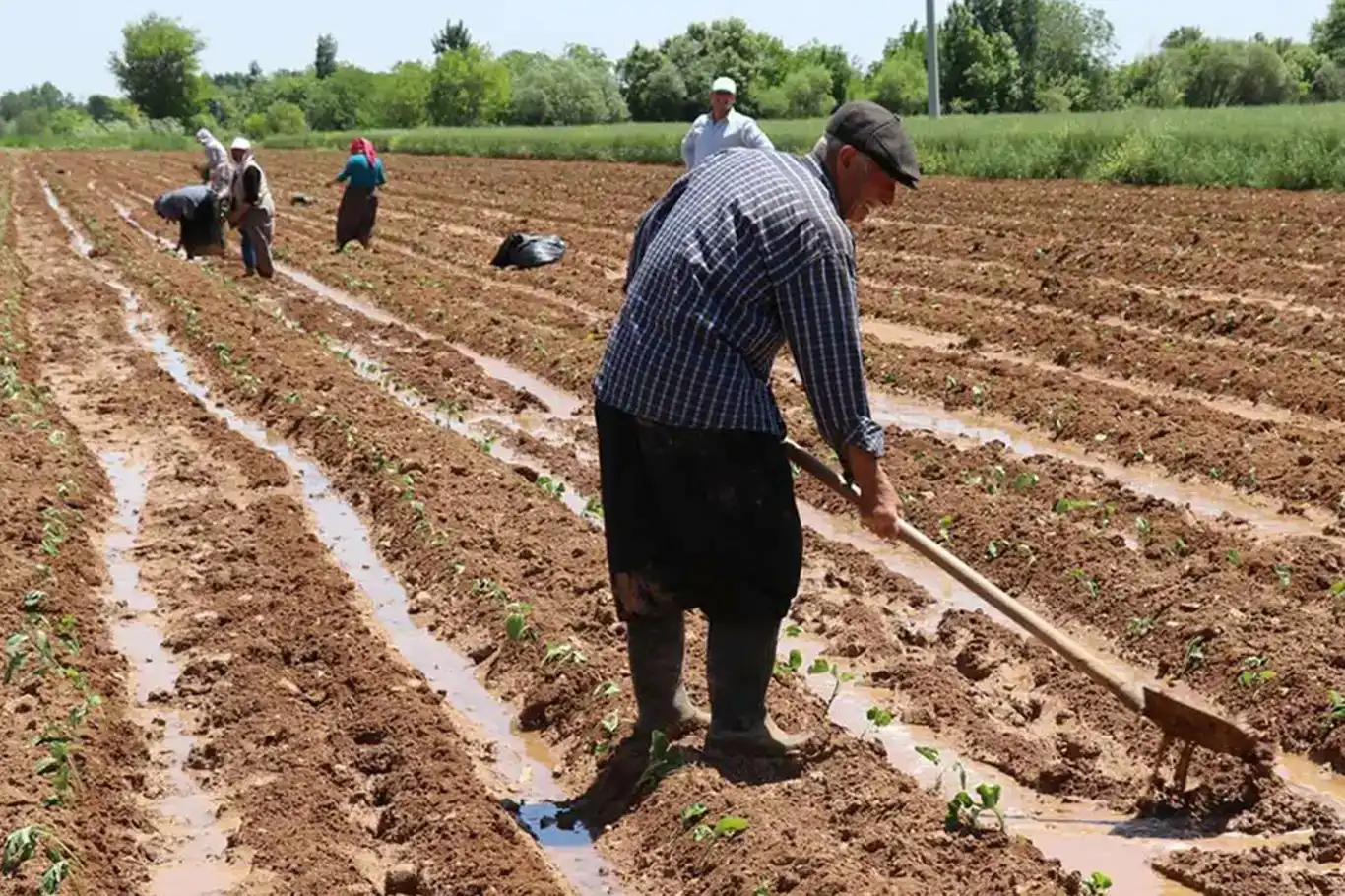 Çiftçilere destekleme ödemeleri başladı Çiftçilere destekleme ödemeleri başladı
