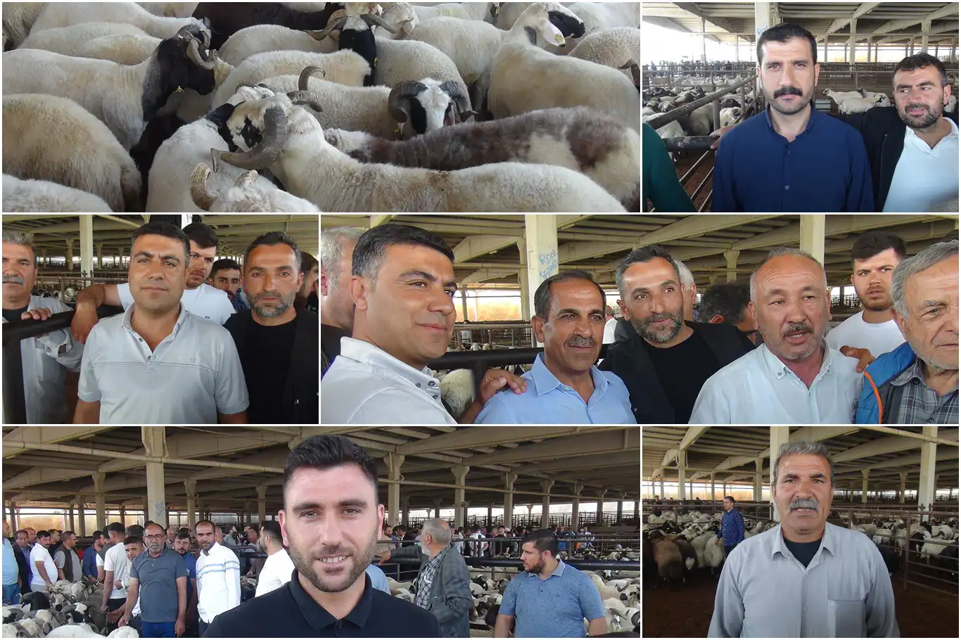 Besiciler girdi maliyetlerinin yüksek olmasından şikayetçi Besiciler girdi maliyetlerinin yüksek olmasından şikayetçi