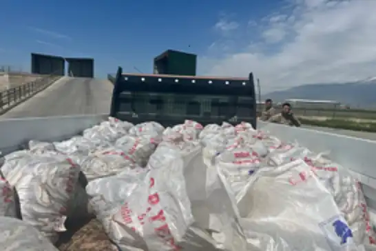 Kaçak yollar ile taşınan 2 ton inci kefali Ağrı'da ele geçirildi
