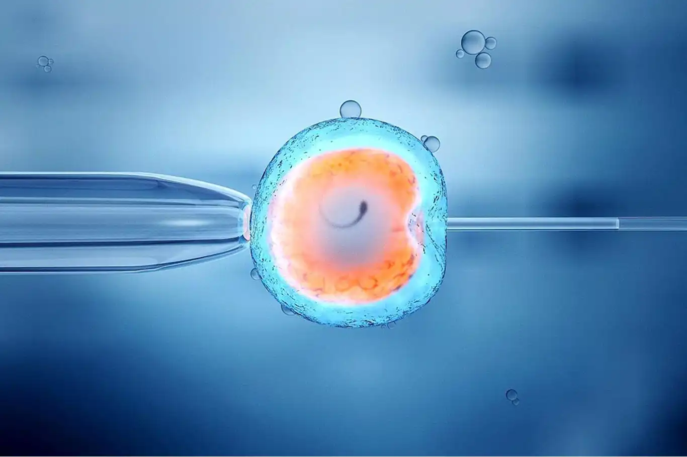 Tüp bebekte kaygıyı yönetmek anne baba olma şansını artırıyor Tüp bebekte kaygıyı yönetmek anne baba olma şansını artırıyor