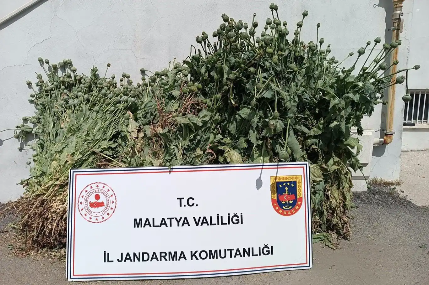 Malatya'da 18'i kesinleşmiş hapis cezası bulunan 30 kişi yakalandı