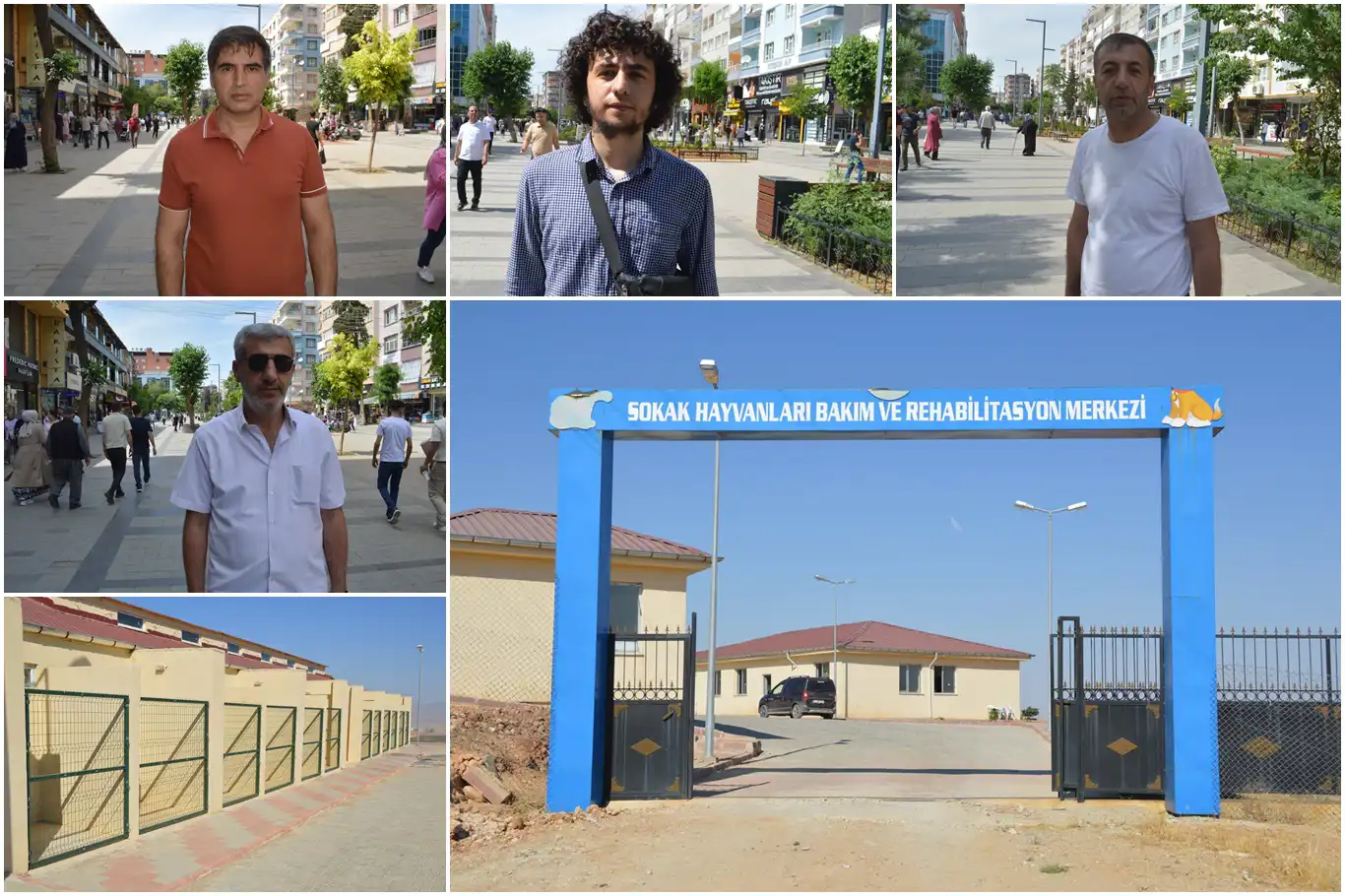 Siirt’te başıboş hayvanların barınaklara alınması vatandaşı memnun etti