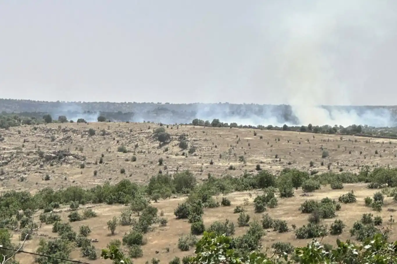 Mardin’de ormanlık alanda yangın çıktı Mardin’de ormanlık alanda yangın çıktı