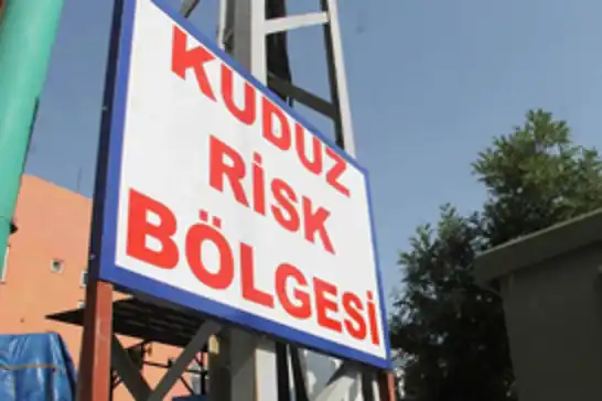 Hatay'da kuduz karantinası 