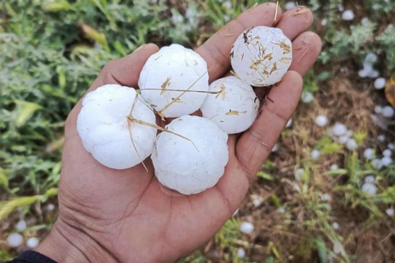 Li Rihayê zîpikên qasê topa berfê barîyan Li Rihayê zîpikên qasê topa berfê barîyan