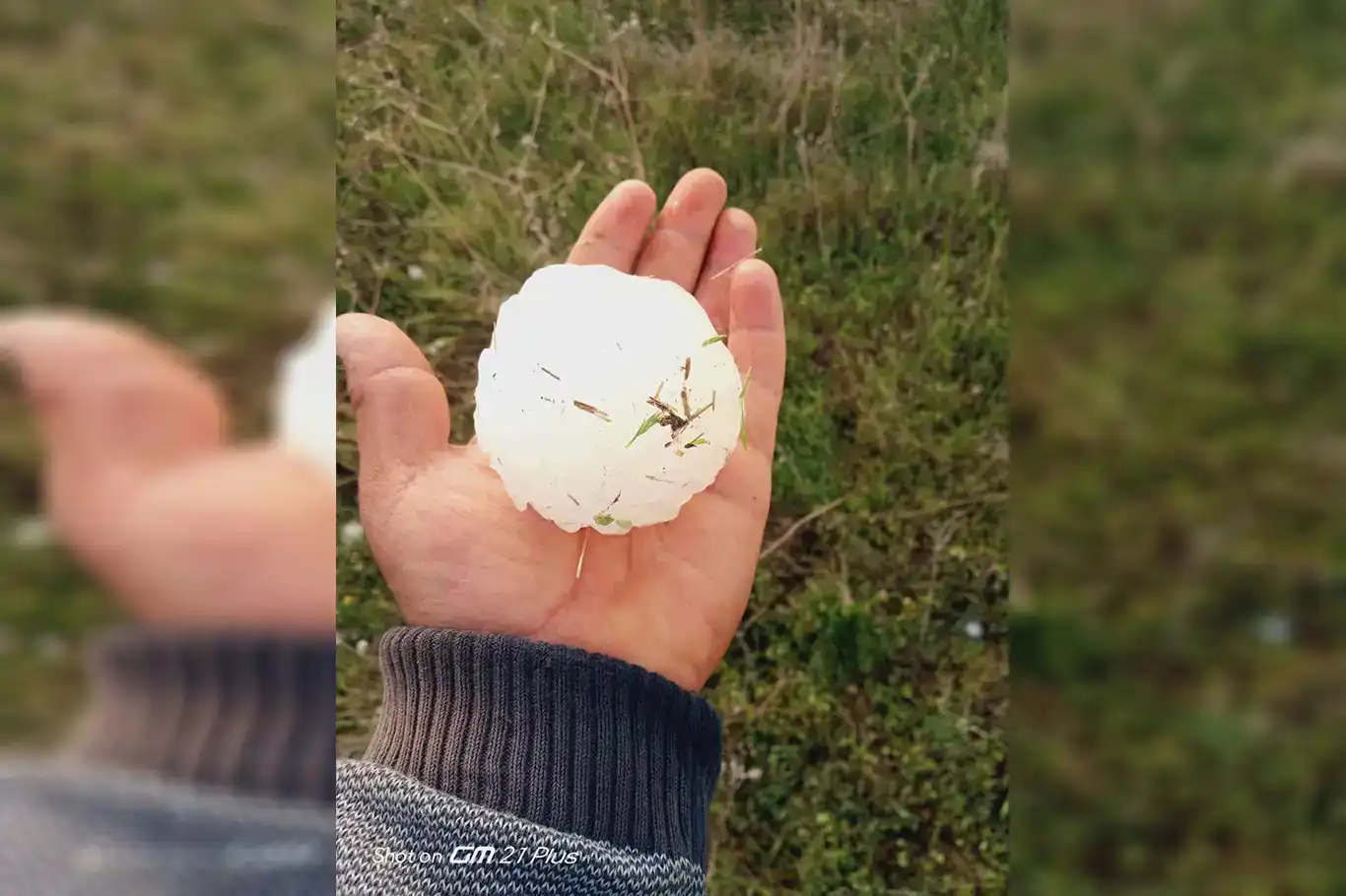 Li Rihayê zîpikên qasê topa berfê barîyan Li Rihayê zîpikên qasê topa berfê barîyan
