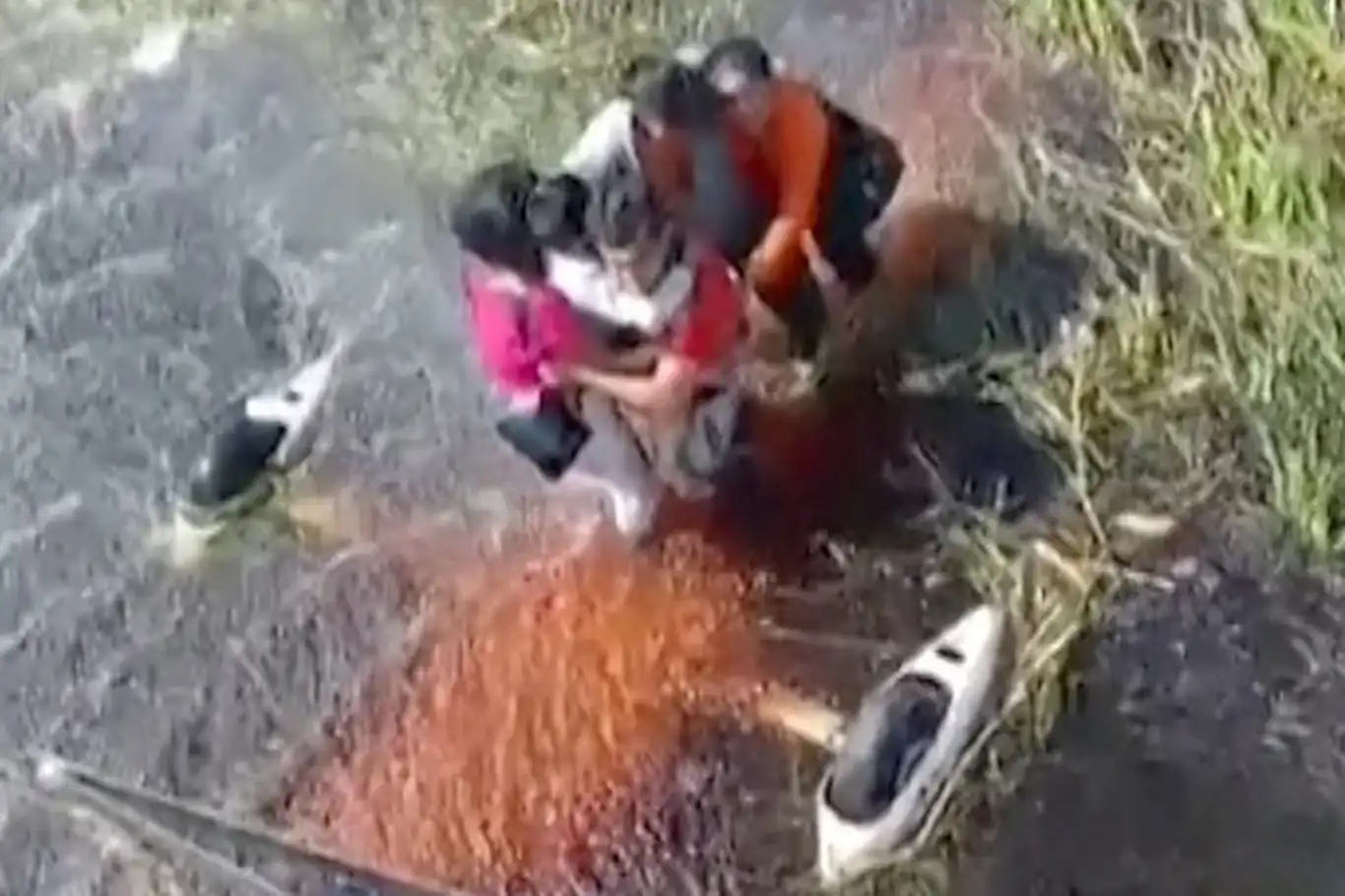 Bataklığa düşen uçağın yolcuları kurtarılmayı bekledi Bataklığa düşen uçağın yolcuları kurtarılmayı bekledi
