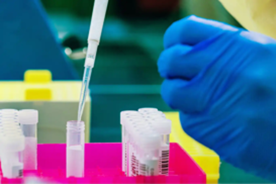 Australia confirms first case of severe mpox clade 1b variant