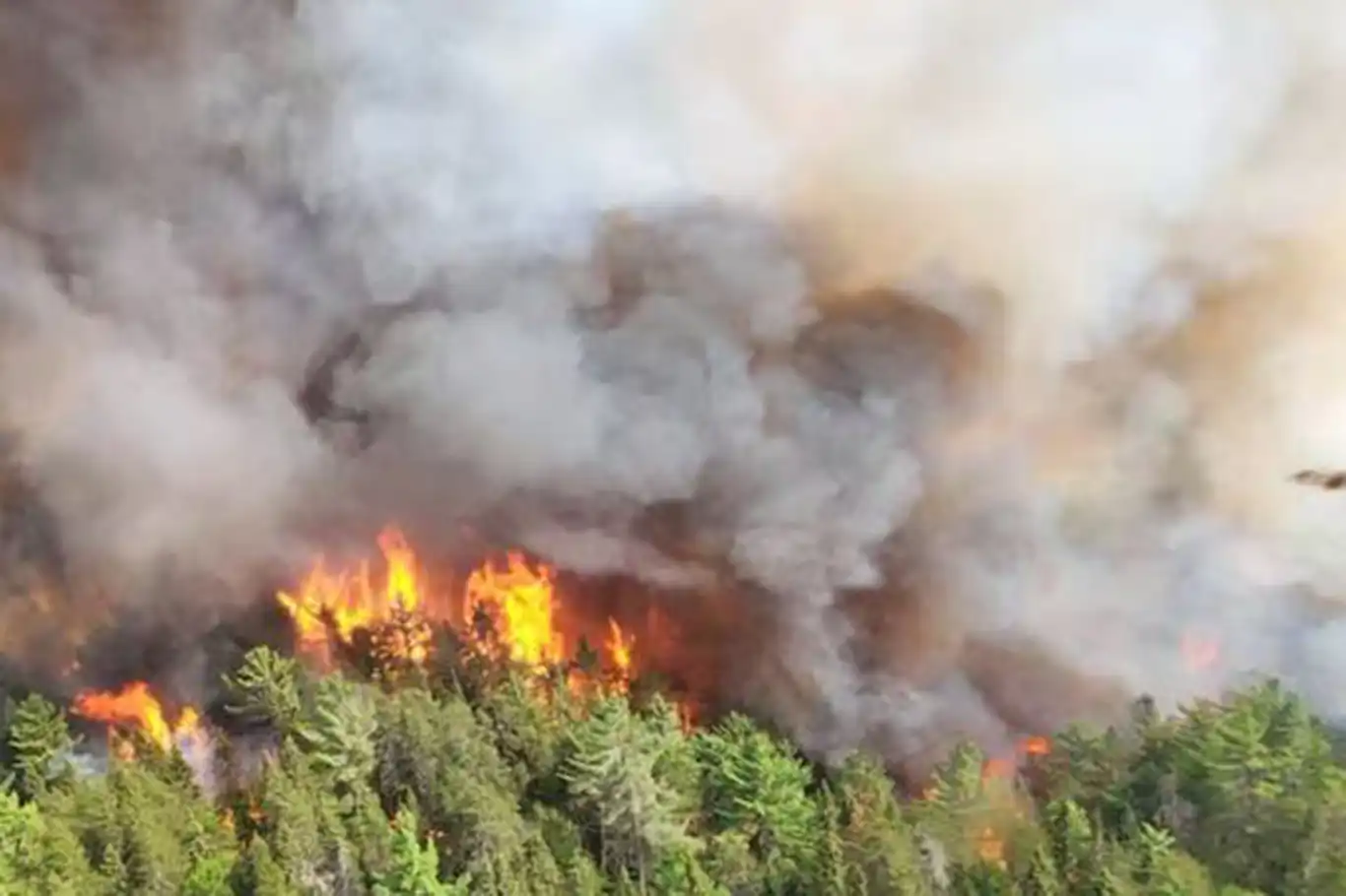 Kanada'daki orman yangını ABD sınırına yaklaştı