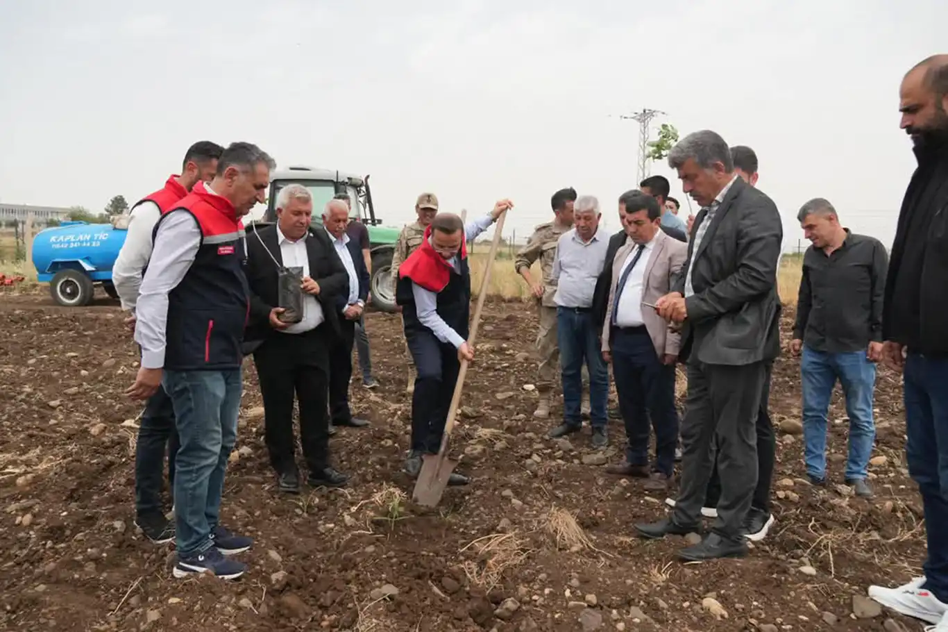 Cizre beş yıl sonra Fıstıkçılığın merkezi olacak Cizre beş yıl sonra Fıstıkçılığın merkezi olacak