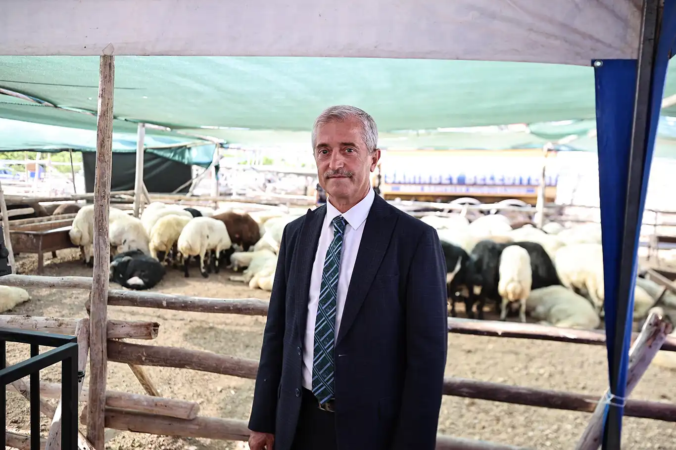 Tahmazoğlu: Kurban Bayramı'nda fahiş fiyat artışlarına asla müsaade etmeyeceğiz Tahmazoğlu: Kurban Bayramı'nda fahiş fiyat artışlarına asla müsaade etmeyeceğiz