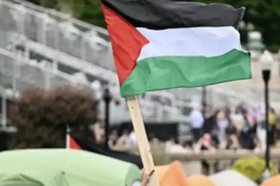 تضامنًا مع غزة..إضراب طلاب جامعة نيويورك عن الطعام يدخل يومه الرابع عشر