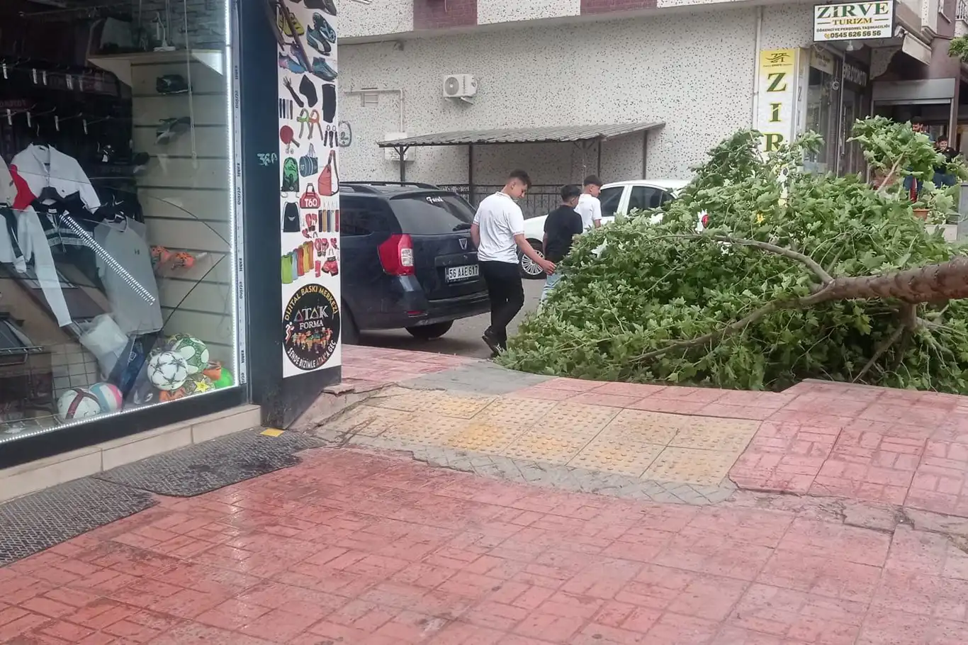 Siirt’te kuvvetli rüzgâr işyerini vurdu: Ağaç devrildi, esnaf zarar gördü