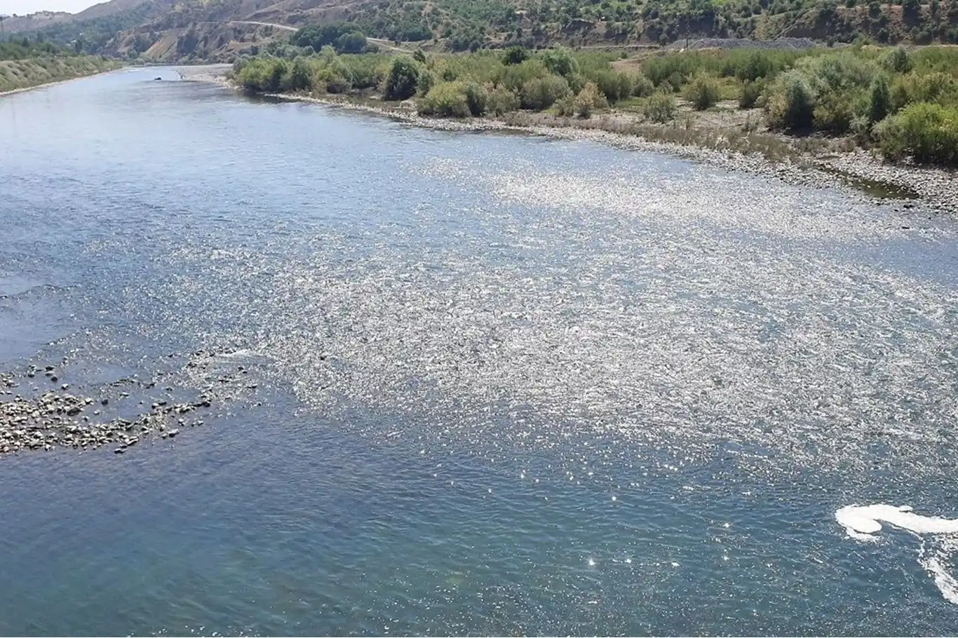 Elazığ'da nehre giren adam kayboldu Elazığ'da nehre giren adam kayboldu
