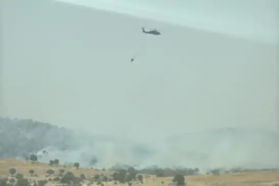 Mardin’de orman yangını: Helikopterlerle müdahale ediliyor 