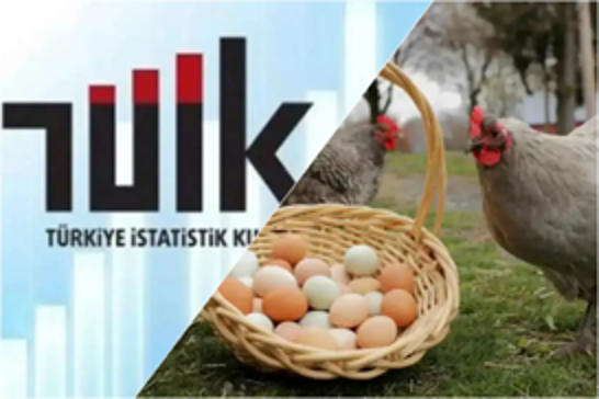 Türkiye’s chicken meat production rises in April: TurkStat