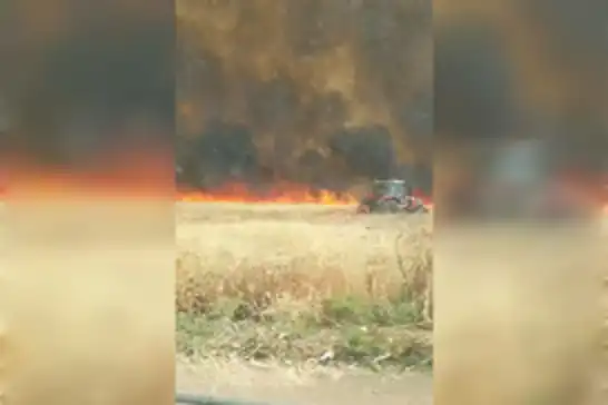 Mardin’de yaklaşık bin dönüm ekili buğday yandı