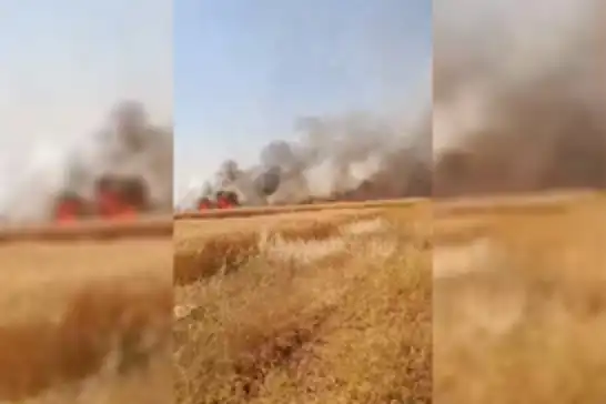 Şanlıurfa'da 170 dönümlük buğday tarlasında yangın