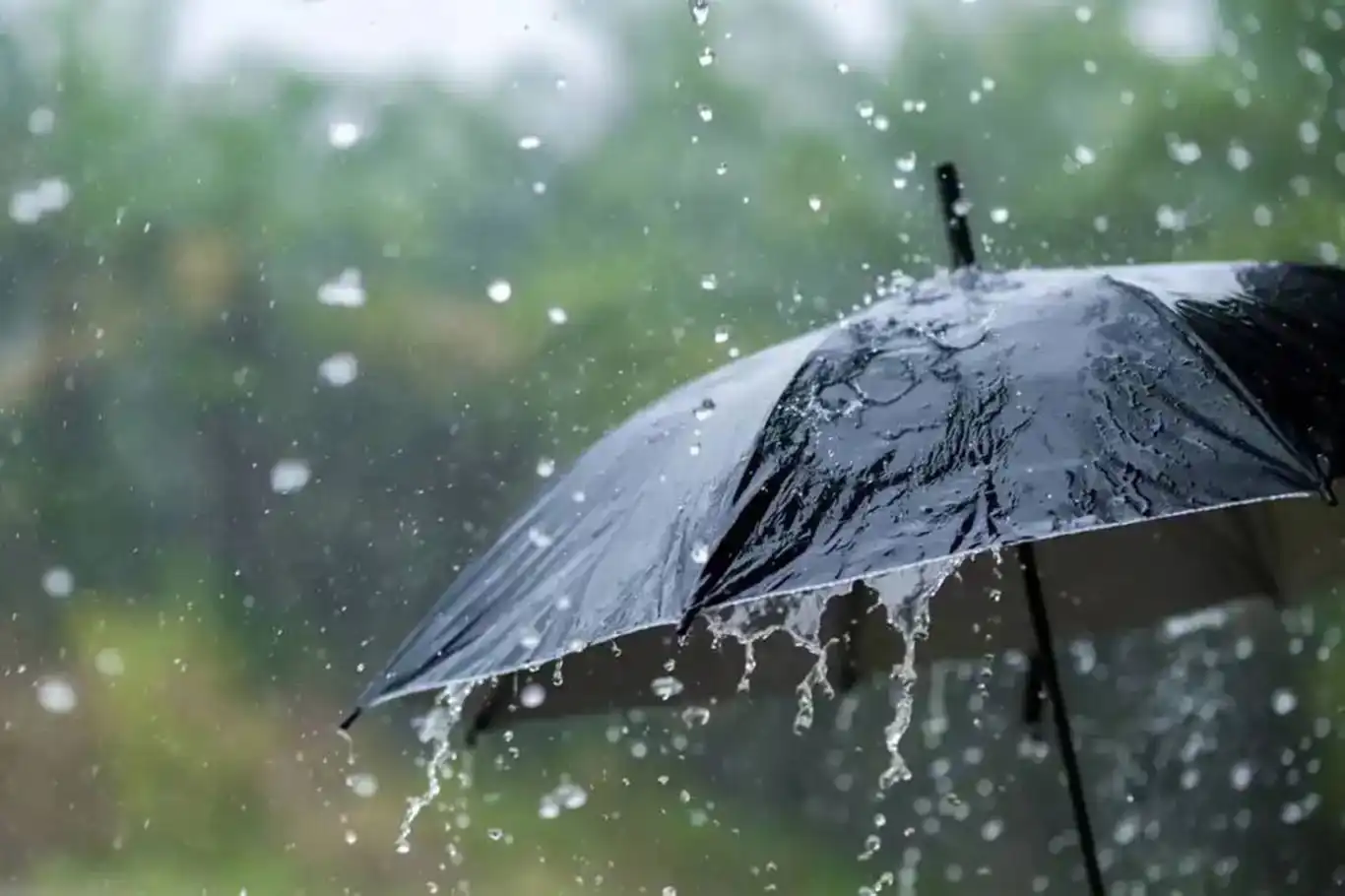 Ülkenin kuzey ve doğusunda yağış bekleniyor Ülkenin kuzey ve doğusunda yağış bekleniyor