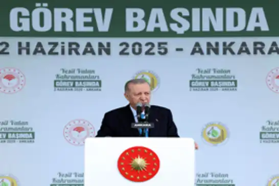Türkiye's forests expand to 23.4 million hectares, Erdoğan announces