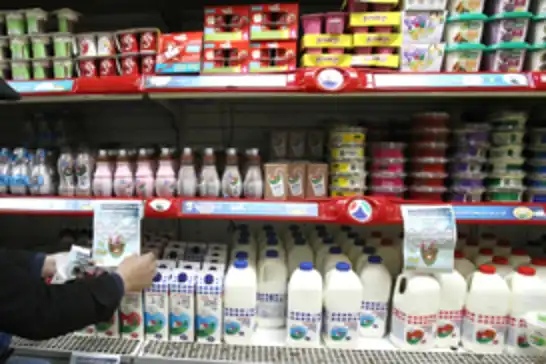 Avrupa'dan işgalcilere ticari yaptırım çağrısı