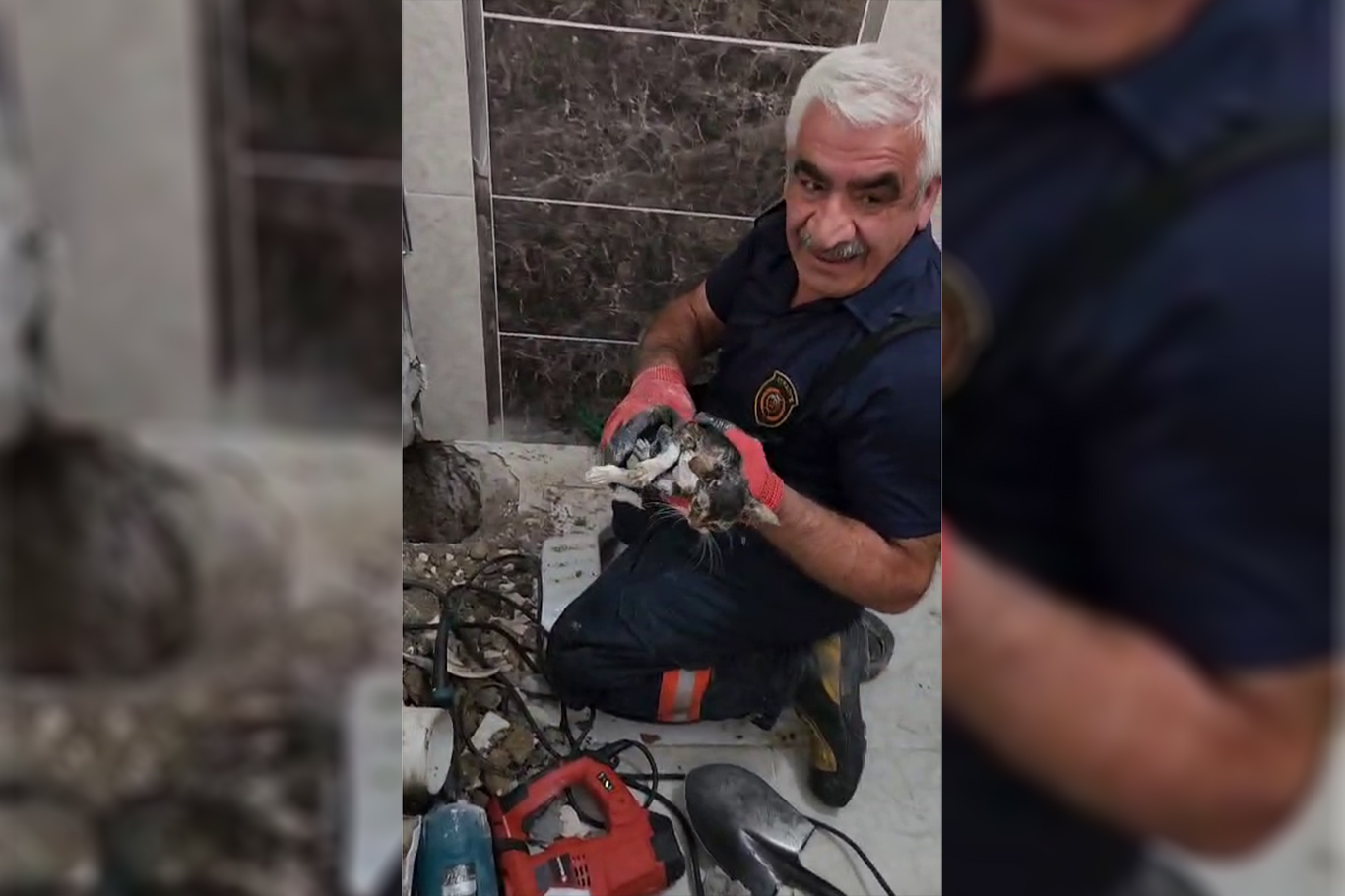 Malatya'da gider borusuna düşen yavru kedi bir saatlik çalışmayla kurtarıldı Malatya'da gider borusuna düşen yavru kedi bir saatlik çalışmayla kurtarıldı