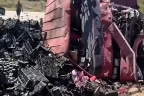 Meyve yüklü kamyon devrildi: Sürücü yaralandı