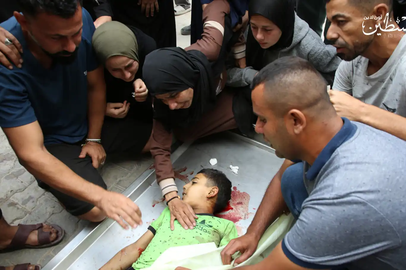 الأمم المتحدة: ما يحدث في غزة مذبحة وتهجير قسري يهدد وجود الفلسطينيين الأمم المتحدة: ما يحدث في غزة مذبحة وتهجير قسري يهدد وجود الفلسطينيين