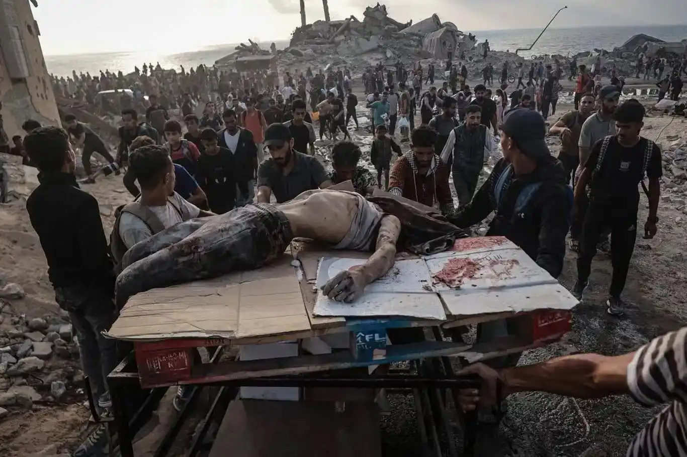 ارتفاع عدد شهداء "كمائن المساعدات" في غزة إلى 516 شهيداً ارتفاع عدد شهداء "كمائن المساعدات" في غزة إلى 516 شهيداً