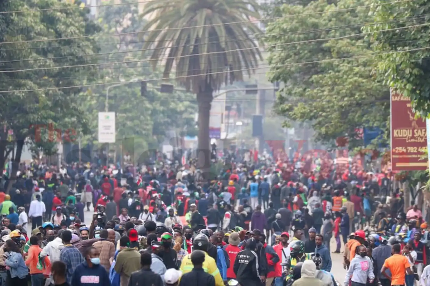 Kenya'da devam eden protestolarda 1 ölü, 17 yaralı 