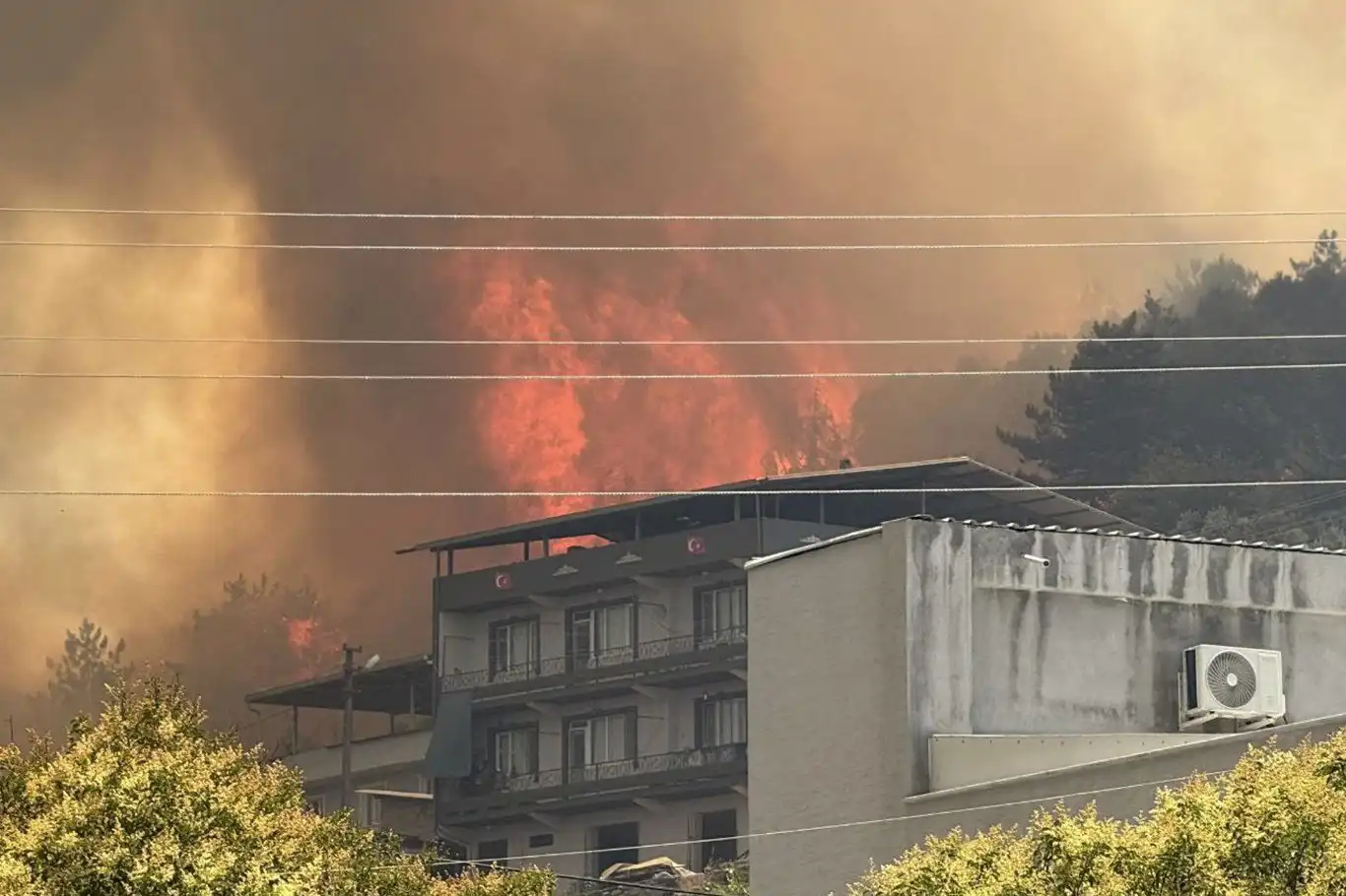 Bursa'da orman yangını: Mahalle tahliye edildi
