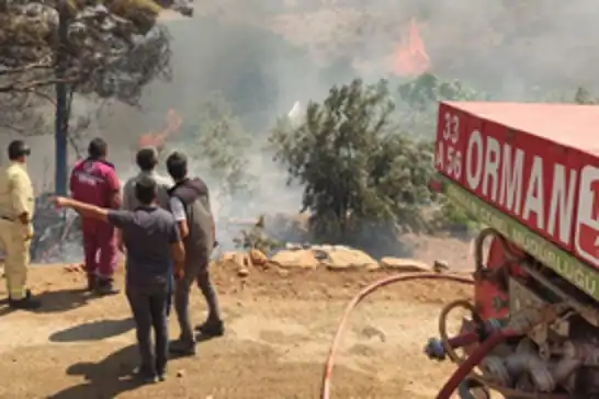 Aydın'da saatlerdir süren orman yangını kontrol altına alındı