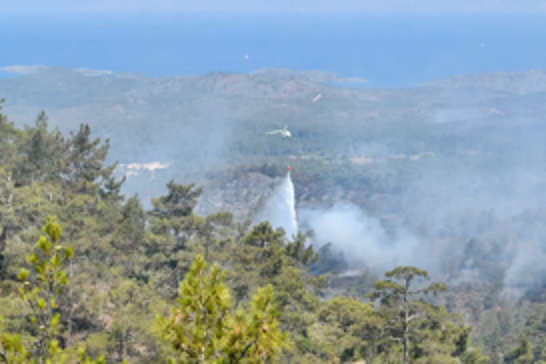 Wildfires in northwestern Türkiye largely contained, says Agriculture Minister