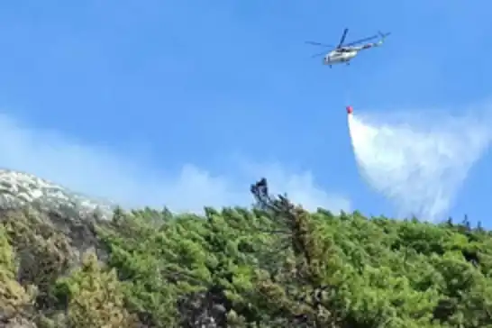 Hatay'da ormanlık alanda yangın
