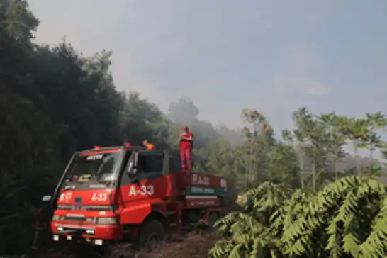 Yangın nedeniyle 3 ilde 50 binden fazla kişi tahliye edildi