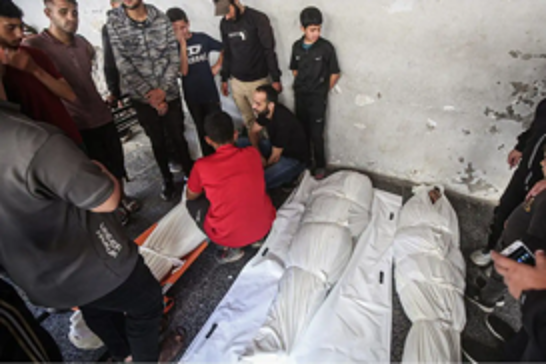 Gaza death toll reaches 56,531 as Israeli strikes kill 49 more