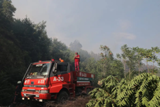 Over 50,000 evacuated as wildfires rage across Türkiye