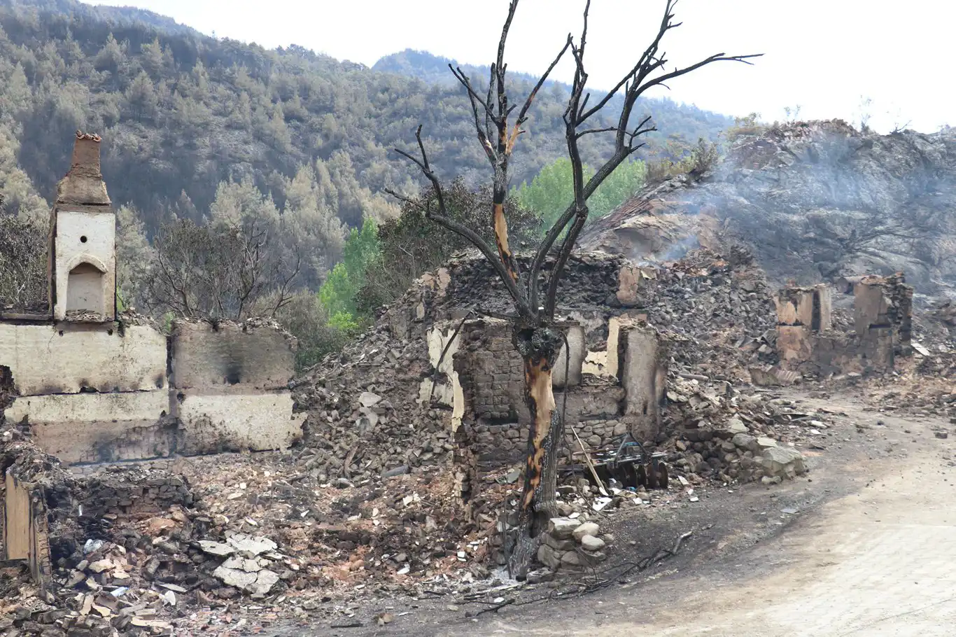 Orman yangınlarından etkilenenlere hane başına 162 bin TL'lik destek Orman yangınlarından etkilenenlere hane başına 162 bin TL'lik destek