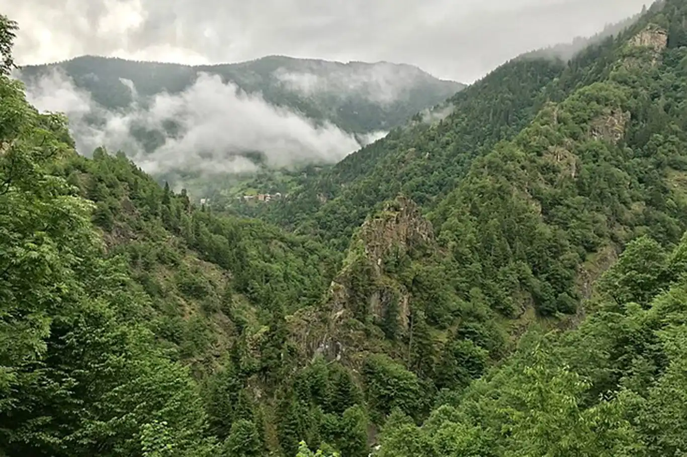 Muğla'da ormanlara giriş yasağı getirildi Muğla'da ormanlara giriş yasağı getirildi