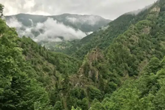 Muğla'da ormanlara giriş yasağı getirildi