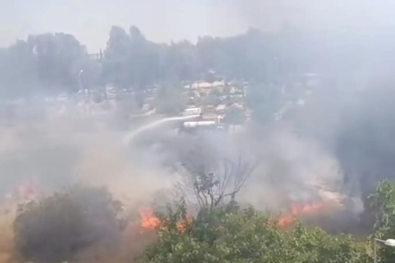 Adana'da ağaçlık alanda yangın Adana'da ağaçlık alanda yangın