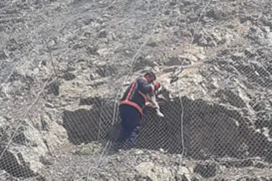 Tellerin arasına sıkışan yaban keçileri kurtarıldı